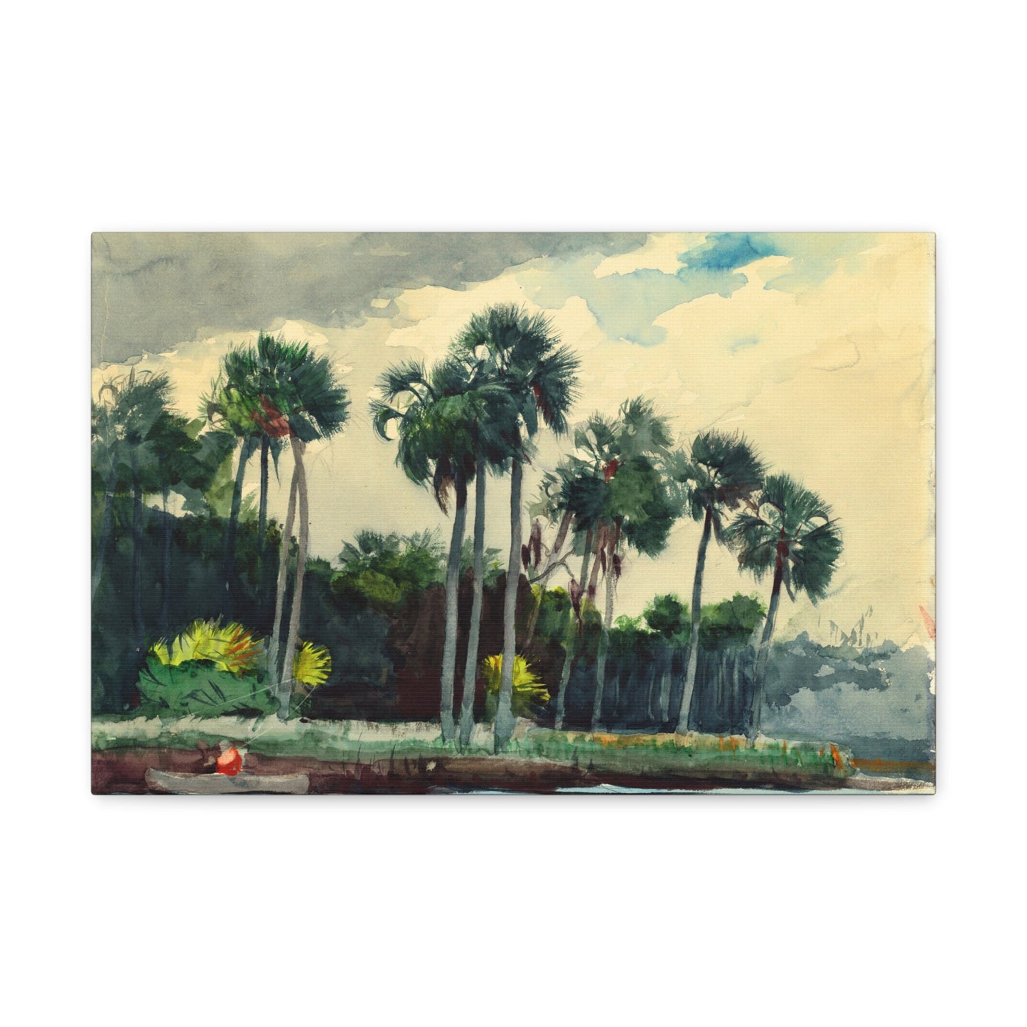 Red Shirt, Homosassa, Florida by Winslow Homer Canvas Print