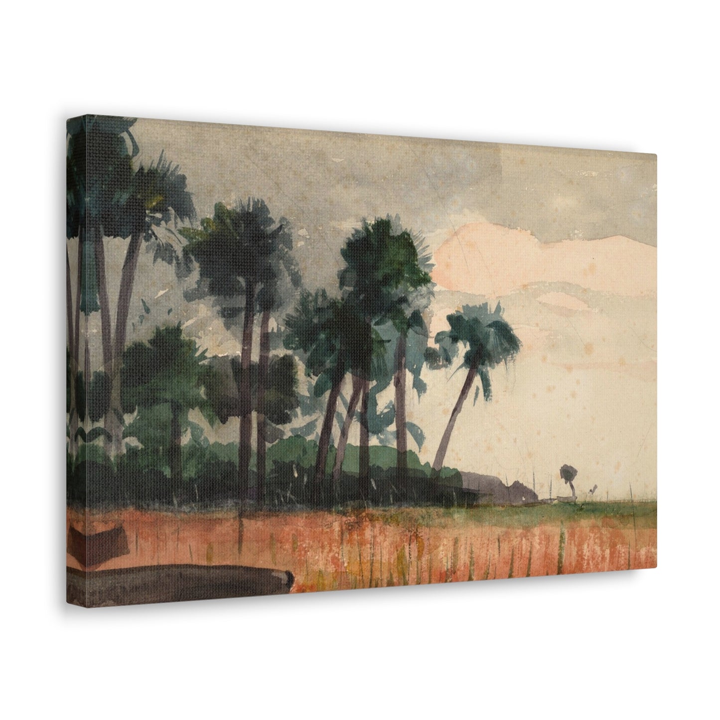 Palm Trees, Red by Winslow Homer Canvas Print