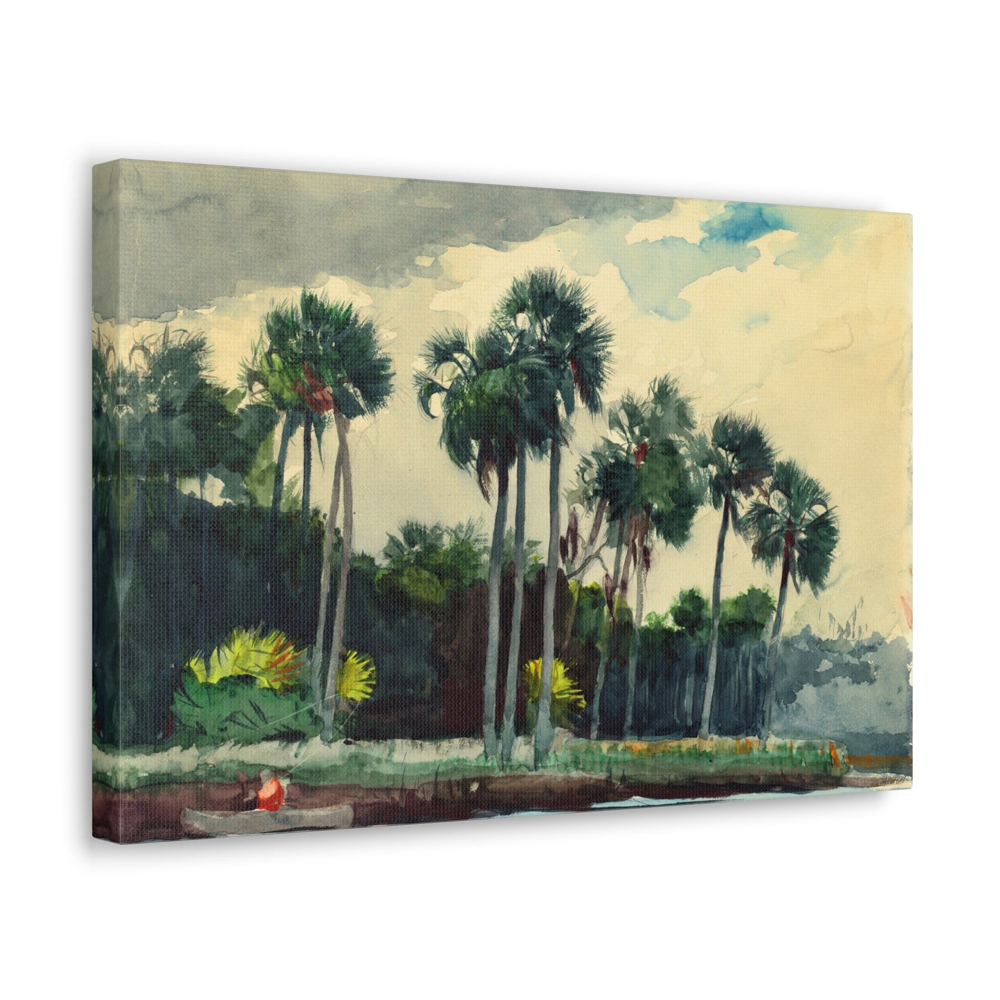 Red Shirt, Homosassa, Florida by Winslow Homer Canvas Print