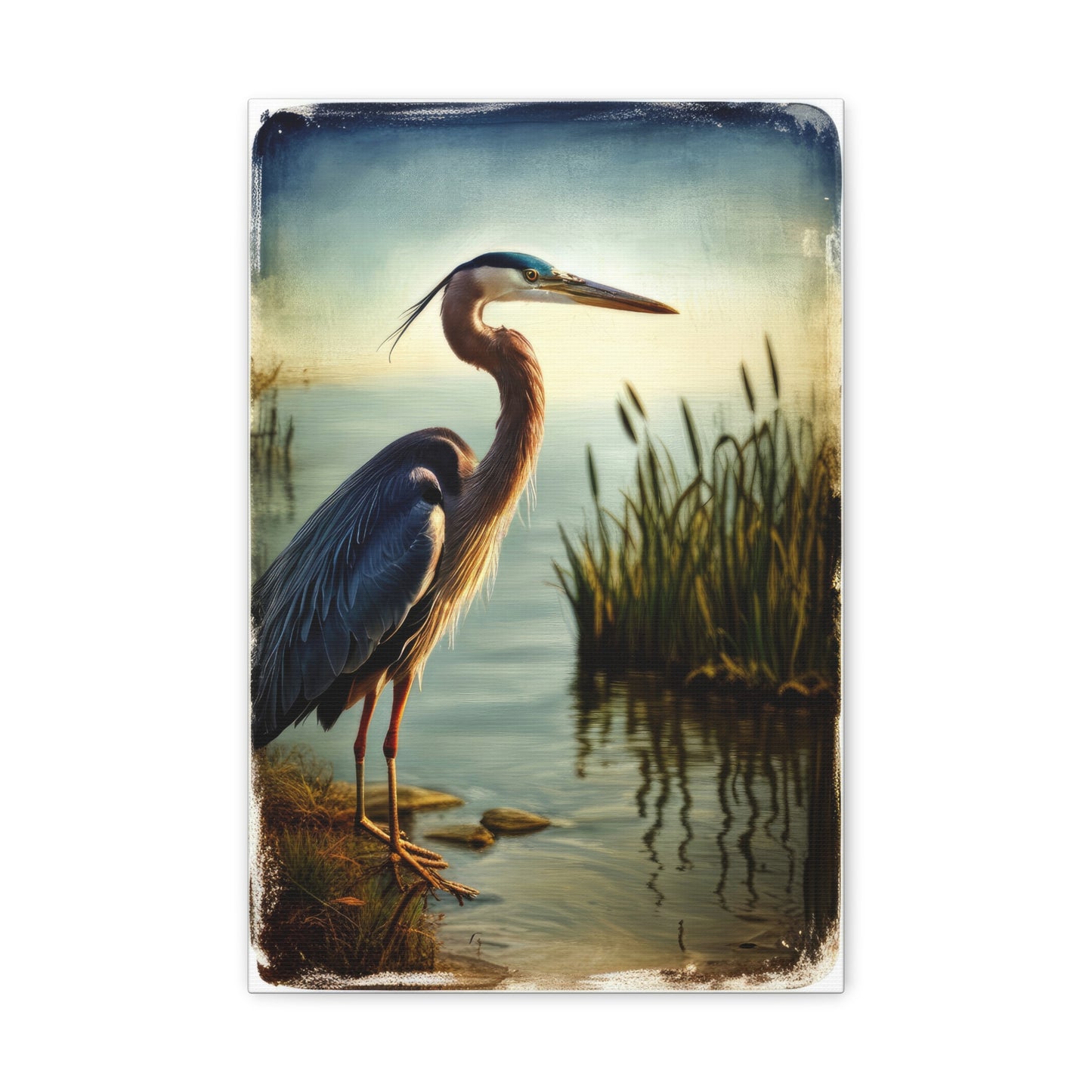 Blue Heron in A Scenic Landscape Photograph Canvas Print