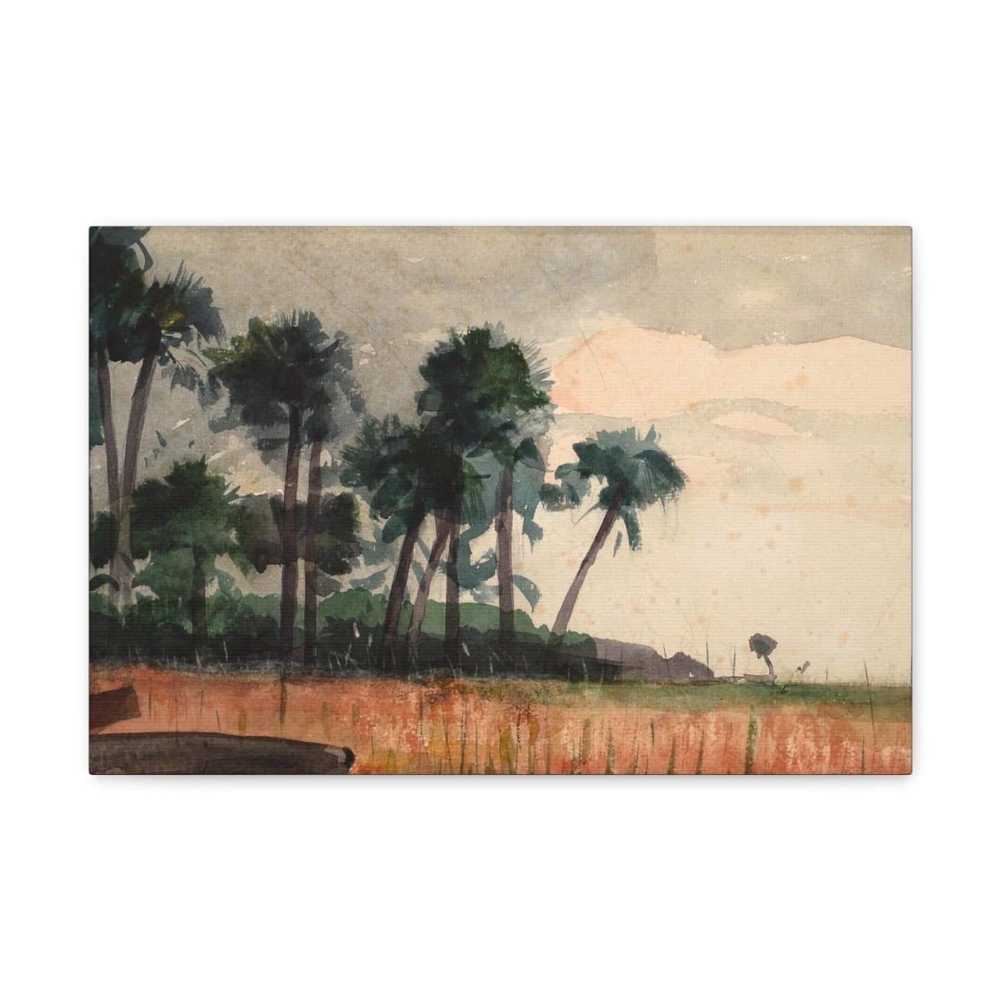 Palm Trees, Red by Winslow Homer Canvas Print