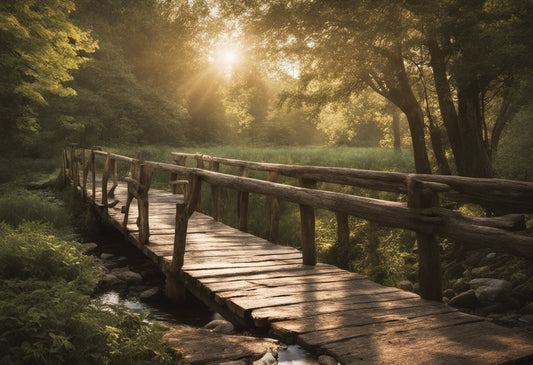 Walking Bridge at Sunset Photograph I Art Print