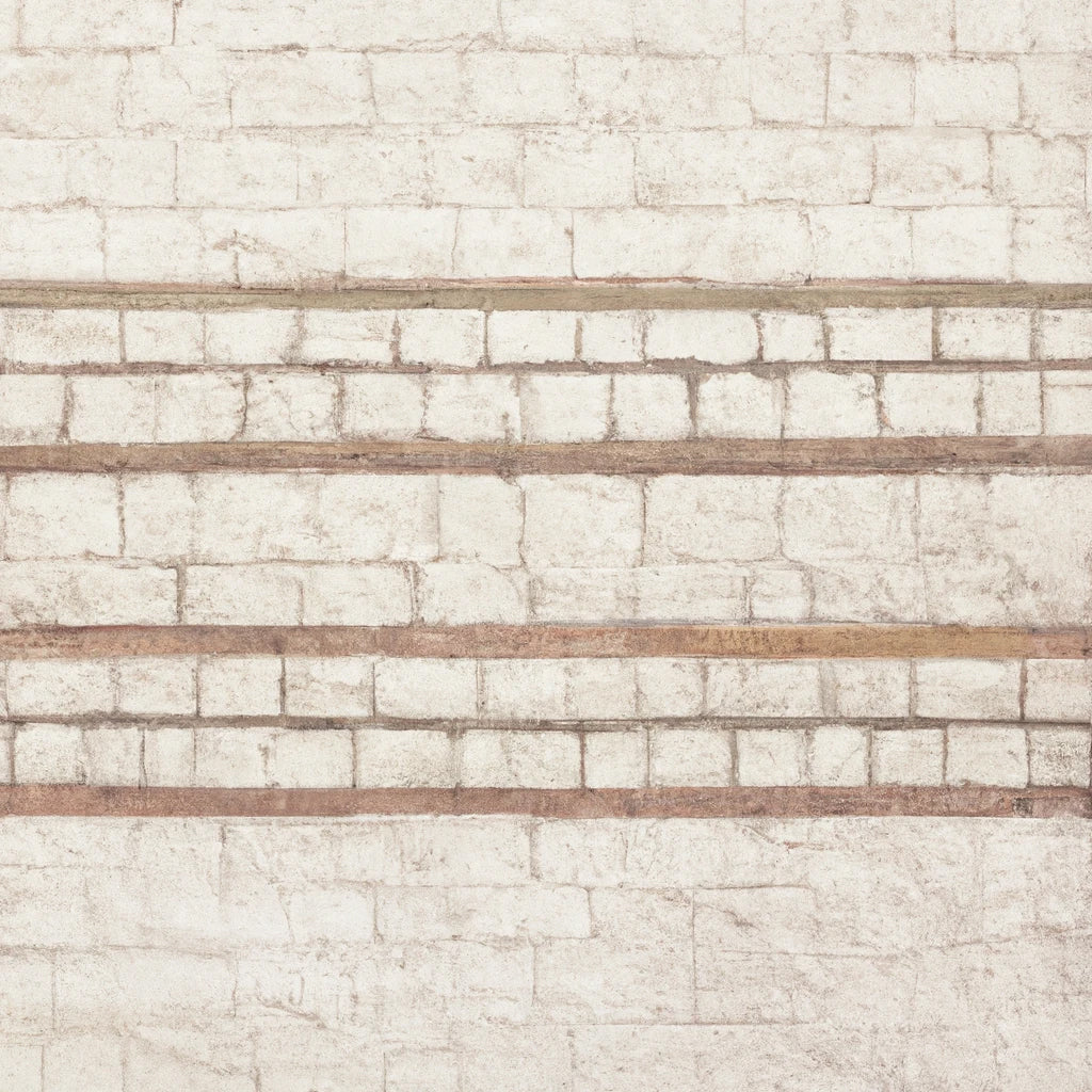 White Bricks Art Print