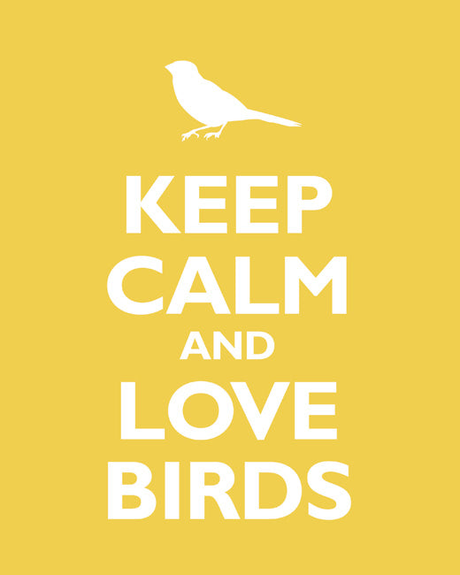 Keep Calm and Love Birds, premium art print (mustard)