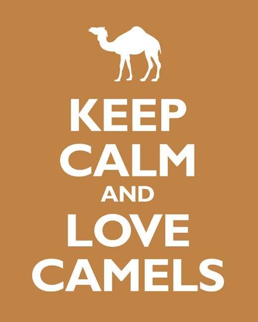 Keep Calm and Love Camels, premium art print (copper)