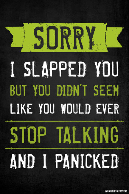 Sorry I Slapped You Poster